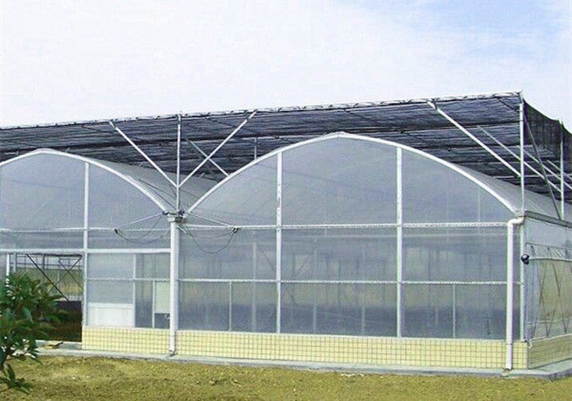 OEM Commercial Polycarbonate Greenhouse Kits Single Span Greenhouse Vegetable Seeding