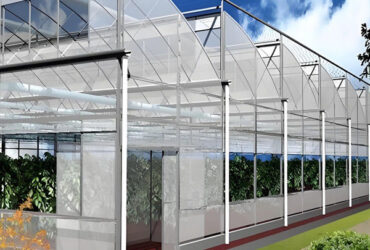 OEM Gothic High Tunnel Greenhouse For Planting Tomato Strawberry Lettuce