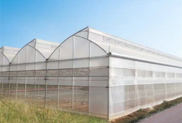 OEM Gothic High Tunnel Greenhouse For Planting Tomato Strawberry Lettuce