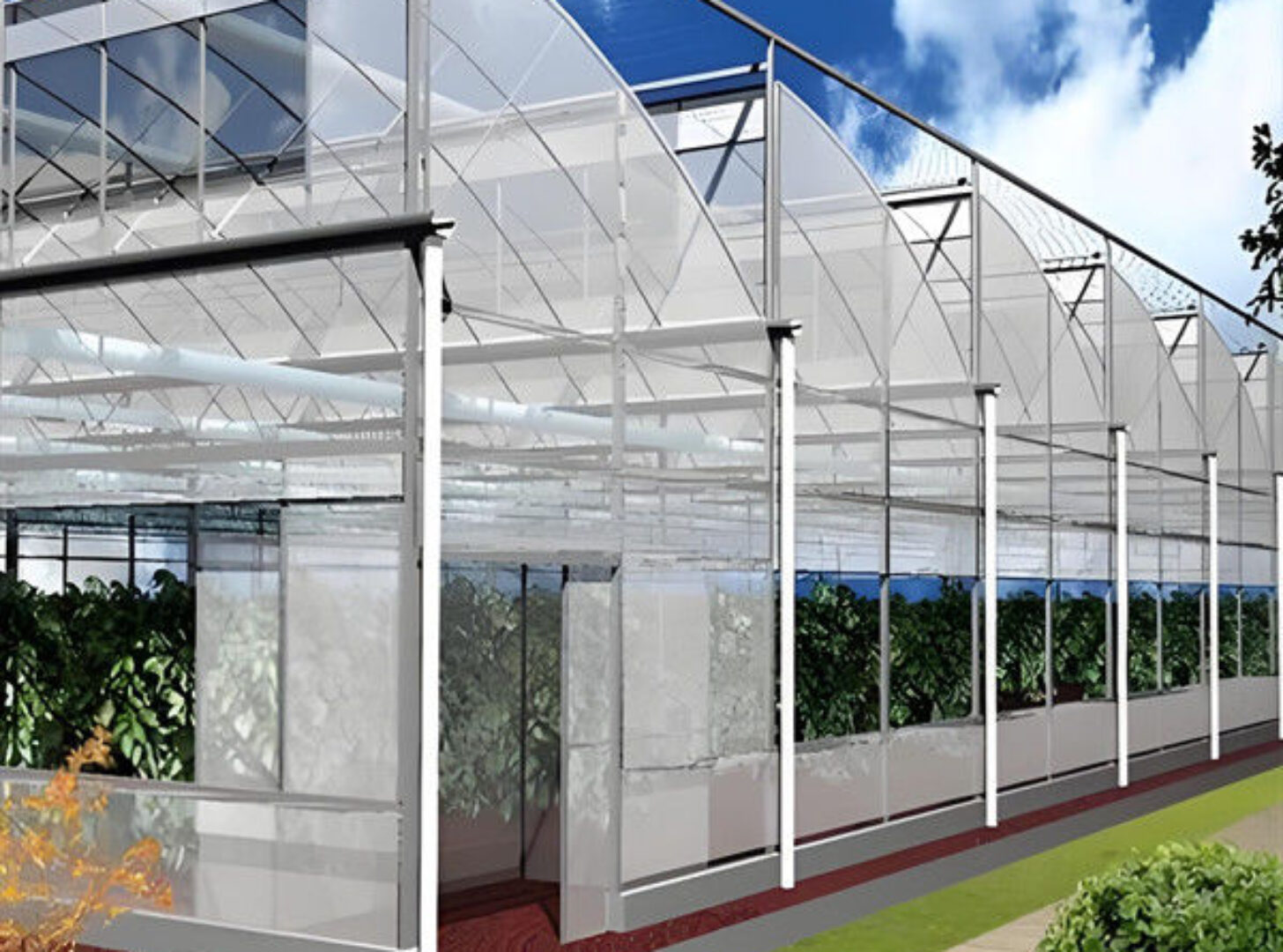 OEM Gothic High Tunnel Greenhouse For Planting Tomato Strawberry Lettuce