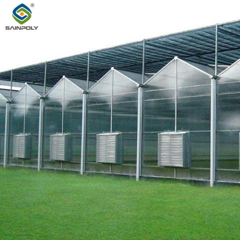 PC Sheet Venlo Type Greenhouse Large Commercial Polycarbonate Greenhouse Energy Saving