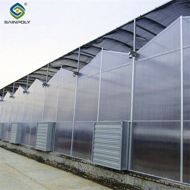 PC Sheet Venlo Type Greenhouse Large Commercial Polycarbonate Greenhouse Energy Saving