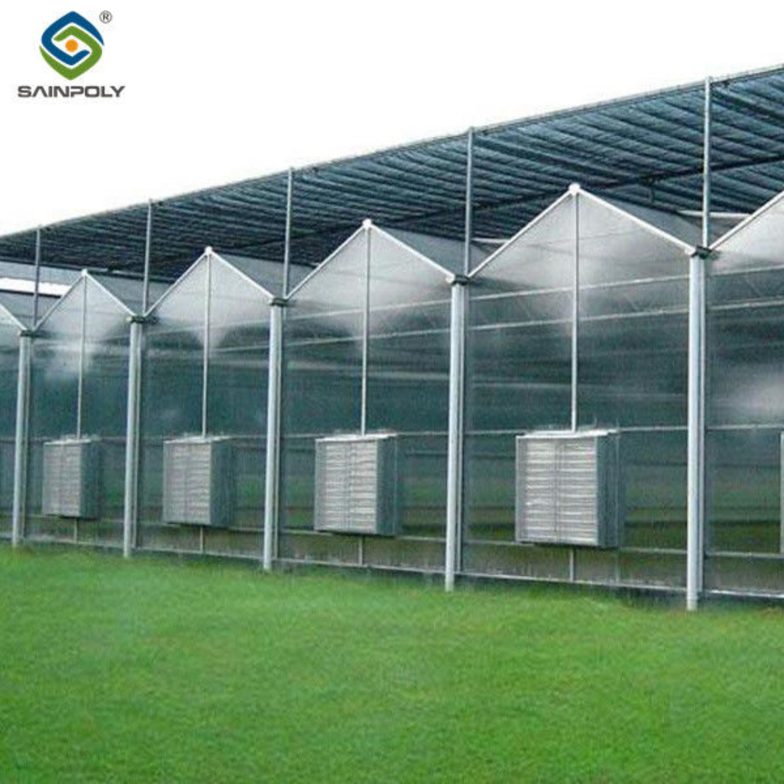 PC Sheet Venlo Type Greenhouse Large Commercial Polycarbonate Greenhouse Energy Saving