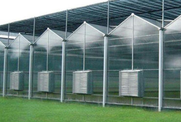 PC Sheet Venlo Type Greenhouse Large Commercial Polycarbonate Greenhouse Energy Saving