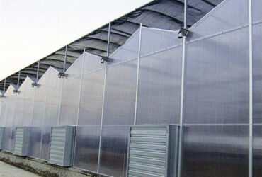 PC Sheet Venlo Type Greenhouse Large Commercial Polycarbonate Greenhouse Energy Saving