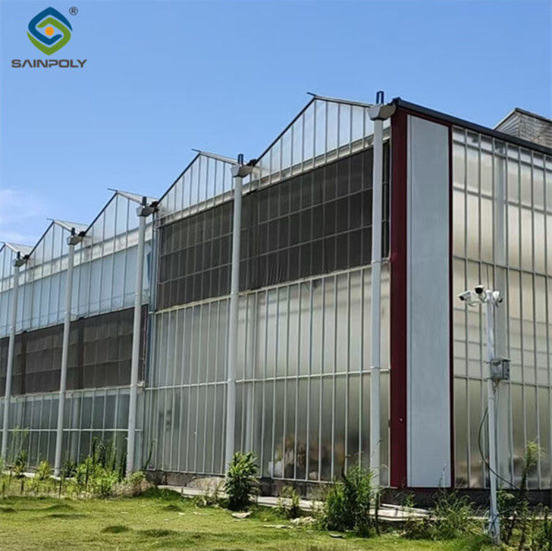 PC Sheet Venlo Type Greenhouse Large Commercial Polycarbonate Greenhouse Energy Saving