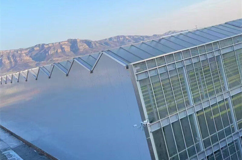 PC Sheet Venlo Type Greenhouse Large Commercial Polycarbonate Greenhouse Energy Saving