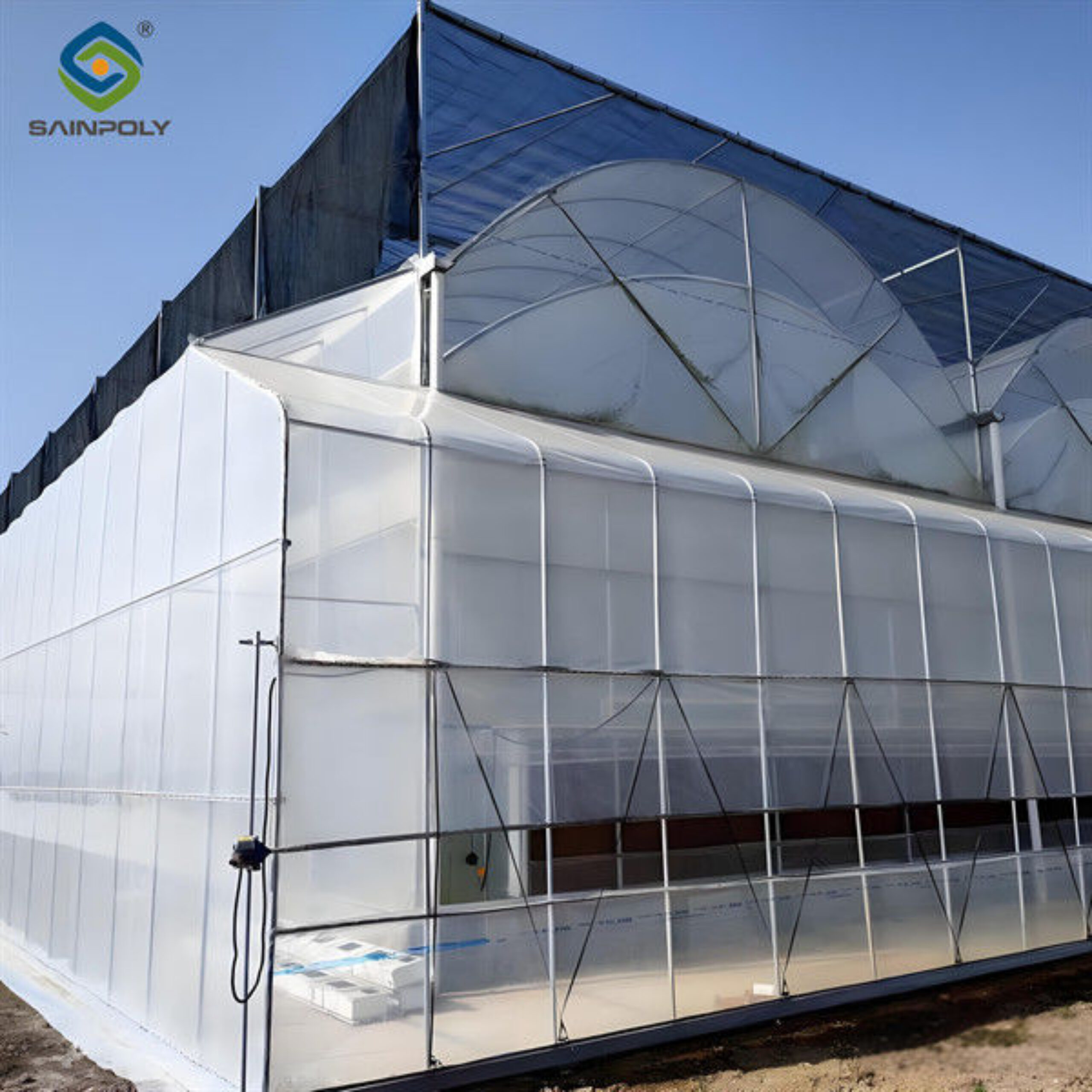 Personalized Blueberries Greenhouse With Plastic Covering Rainproof