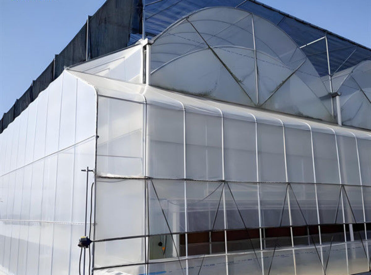 Personalized Blueberries Greenhouse With Plastic Covering Rainproof