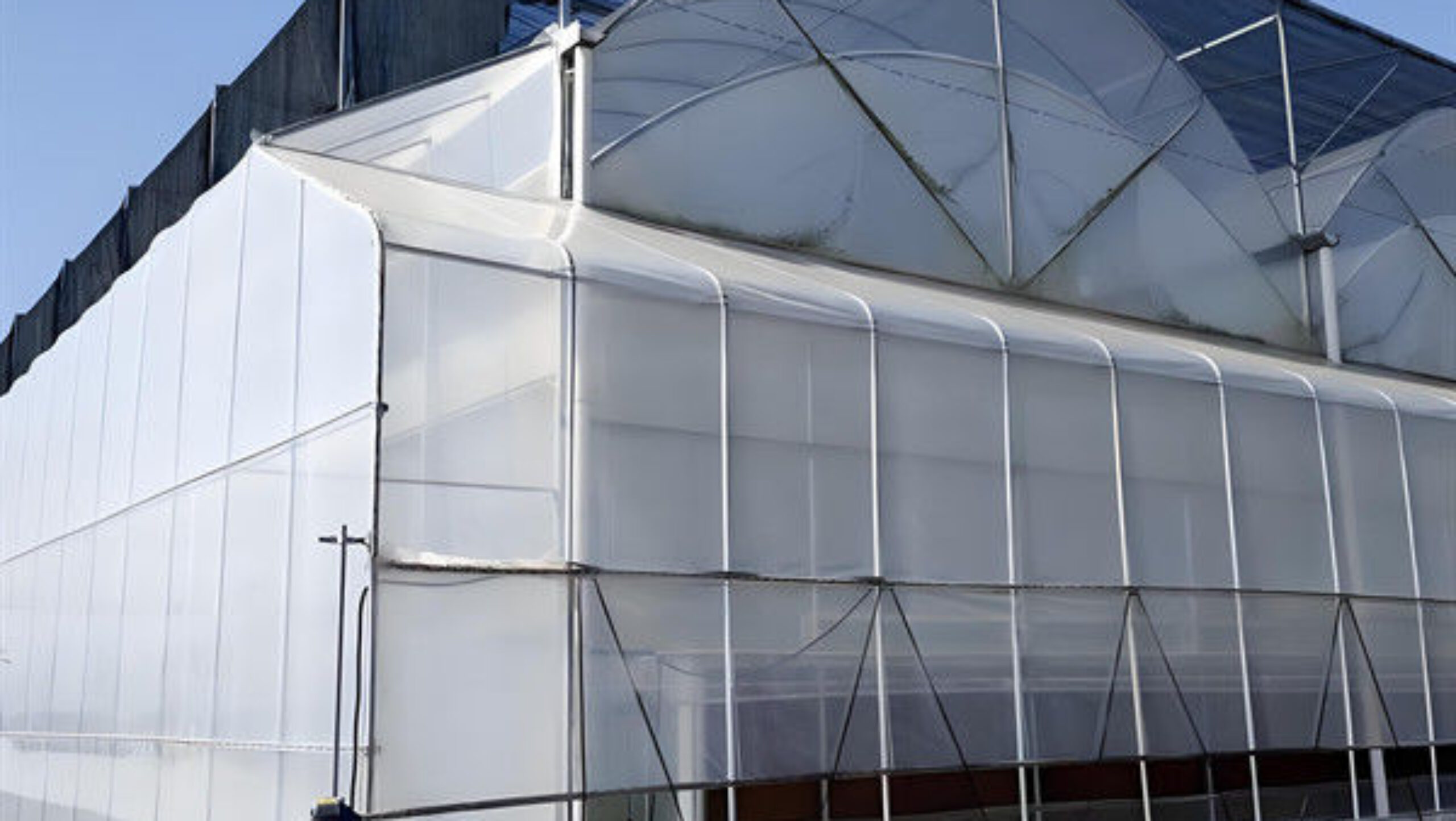 Personalized Blueberries Greenhouse With Plastic Covering Rainproof