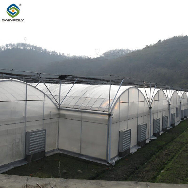 Polycarbonate Covering Multi Span Greenhouse With Galvanized Steel Structure