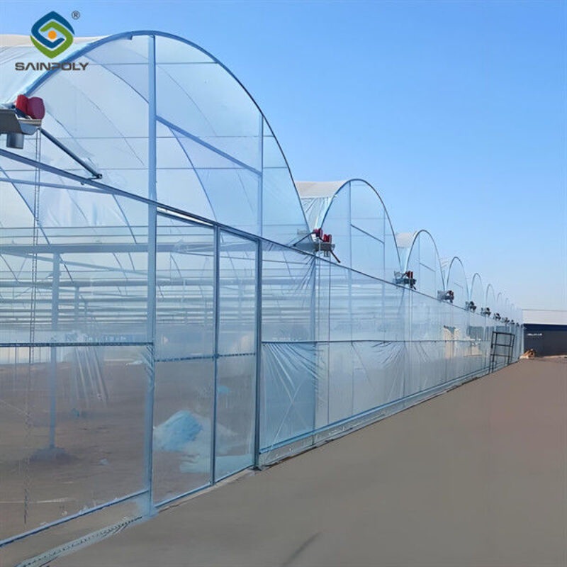 Polycarbonate Covering Multi Span Greenhouse With Galvanized Steel Structure