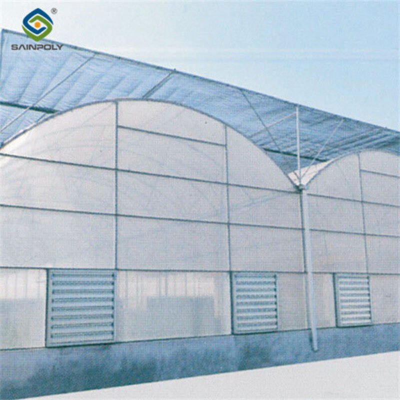 Polycarbonate Covering Multi Span Greenhouse With Galvanized Steel Structure