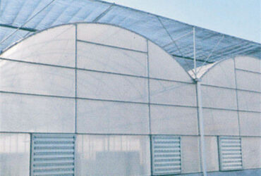 Polycarbonate Covering Multi Span Greenhouse With Galvanized Steel Structure
