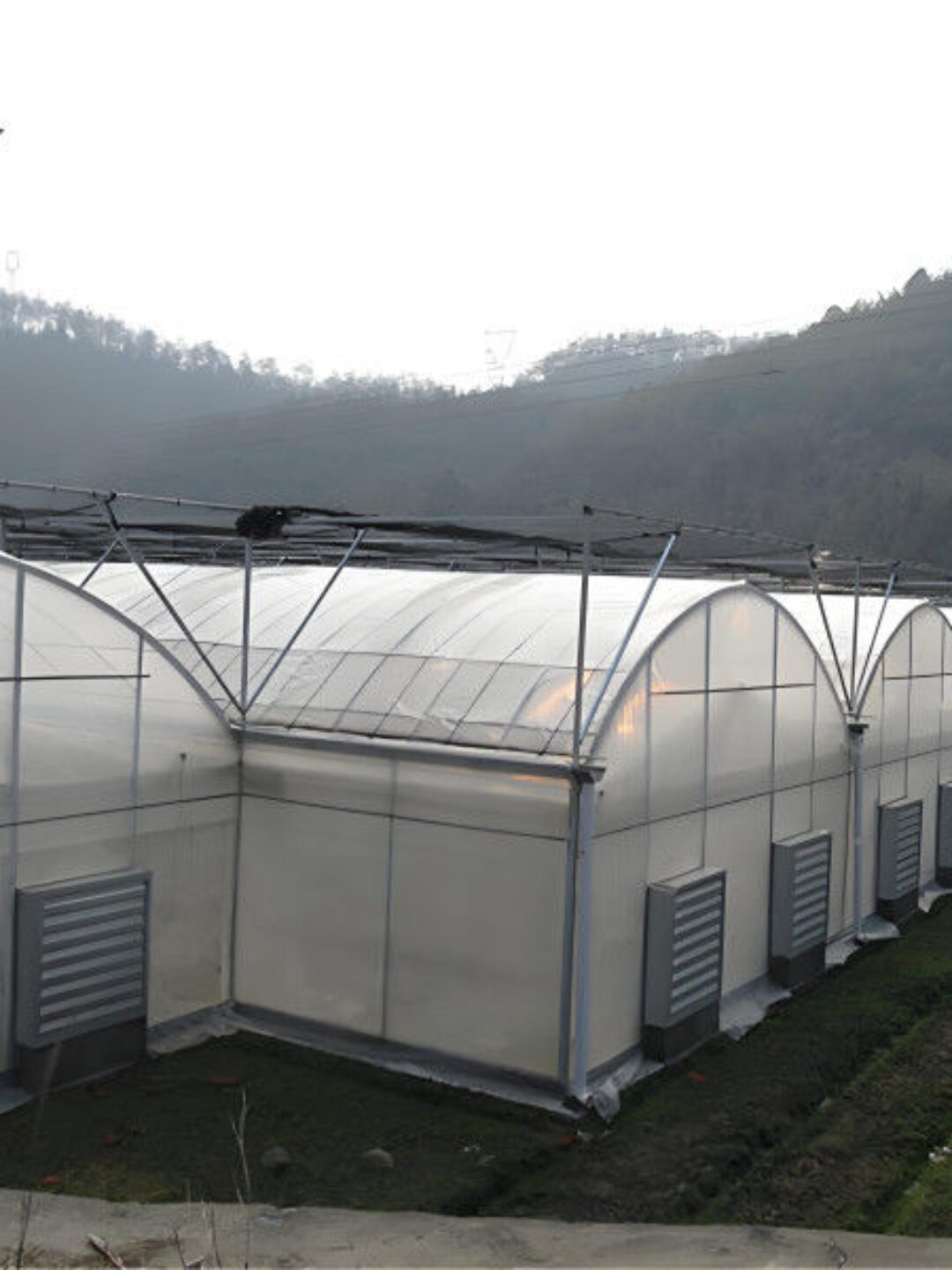 Polycarbonate Covering Multi Span Greenhouse With Galvanized Steel Structure