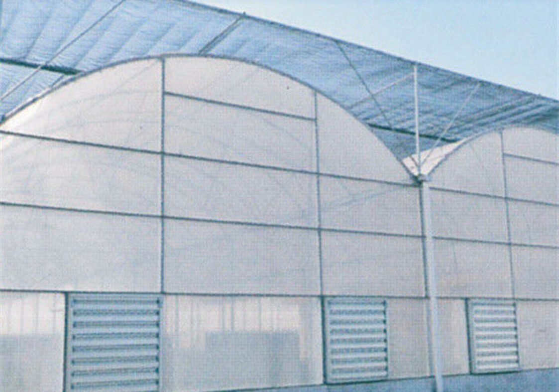 Polycarbonate Covering Multi Span Greenhouse With Galvanized Steel Structure