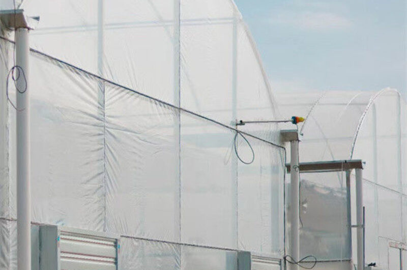 Polycarbonate Covering Multi Span Greenhouse With Galvanized Steel Structure