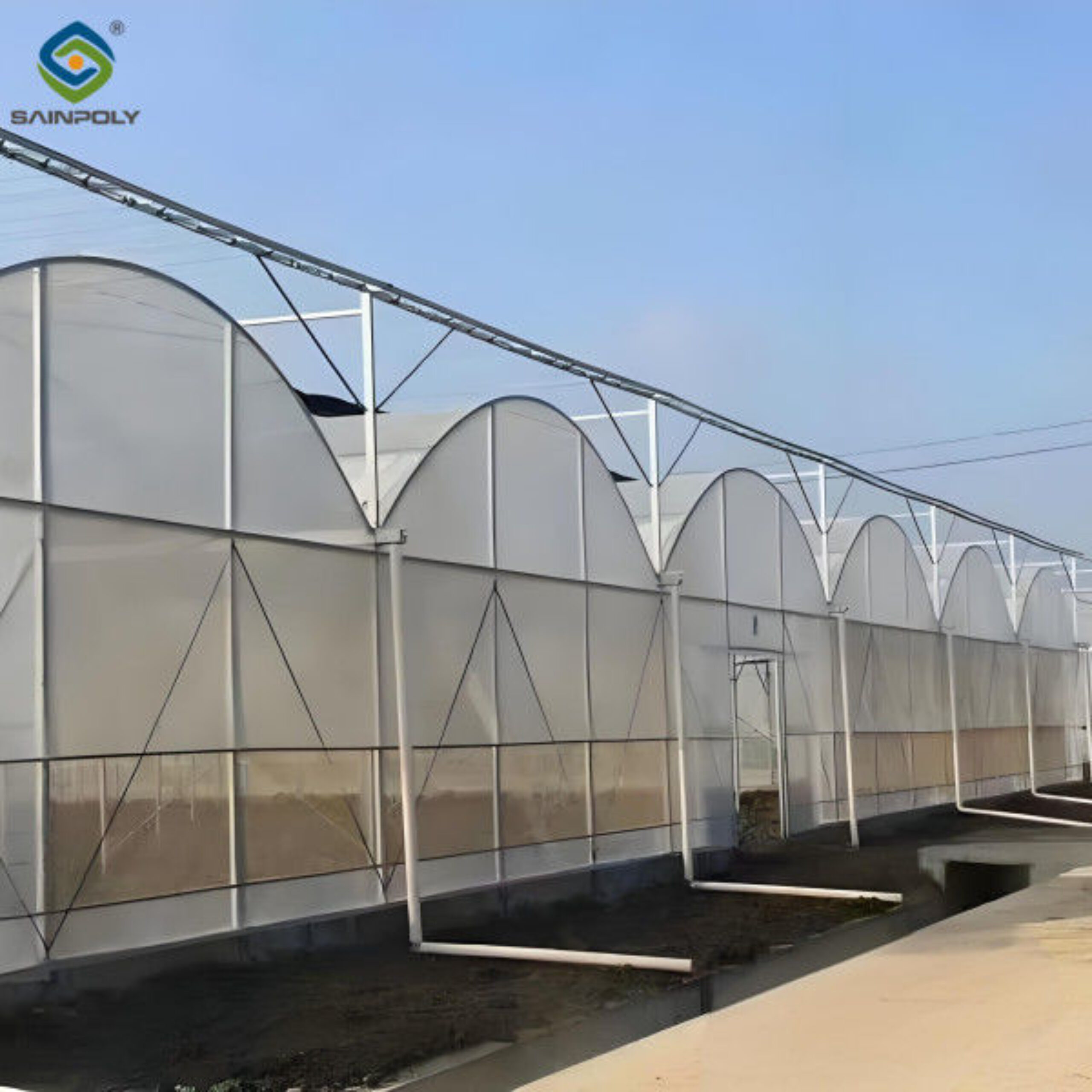 Polycarbonate Covering Multispan Greenhouse Tomato Growing Greenhouse