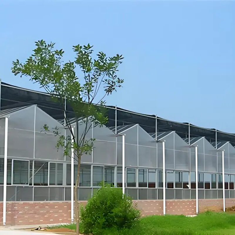 Polycarbonate greenhouse for agricultural product cultivation