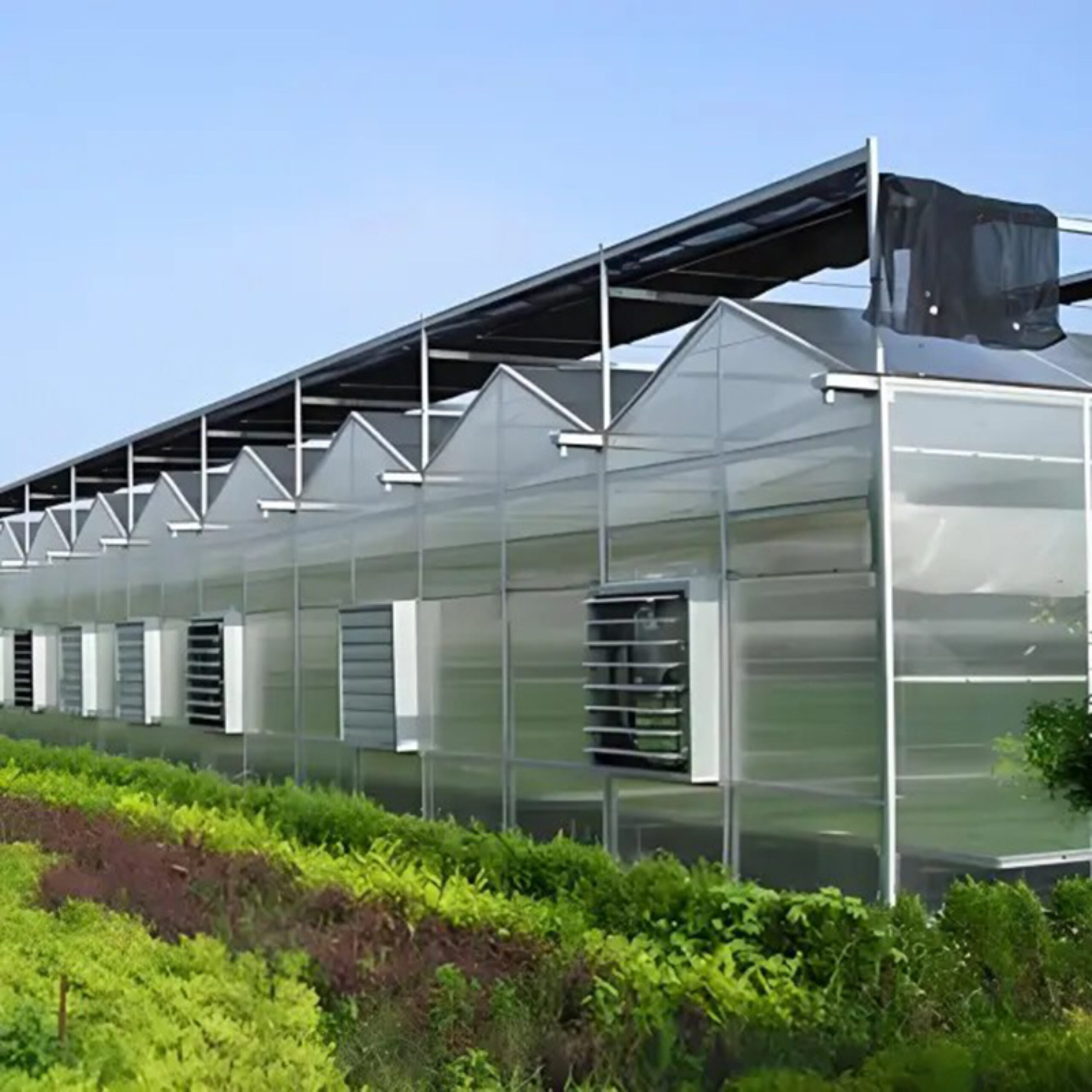 Polycarbonate greenhouse for agricultural product cultivation
