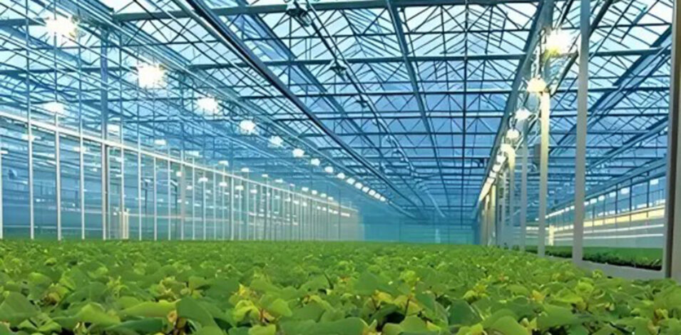 Polycarbonate greenhouse for agricultural product cultivation