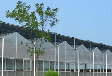 Polycarbonate greenhouse for agricultural product cultivation