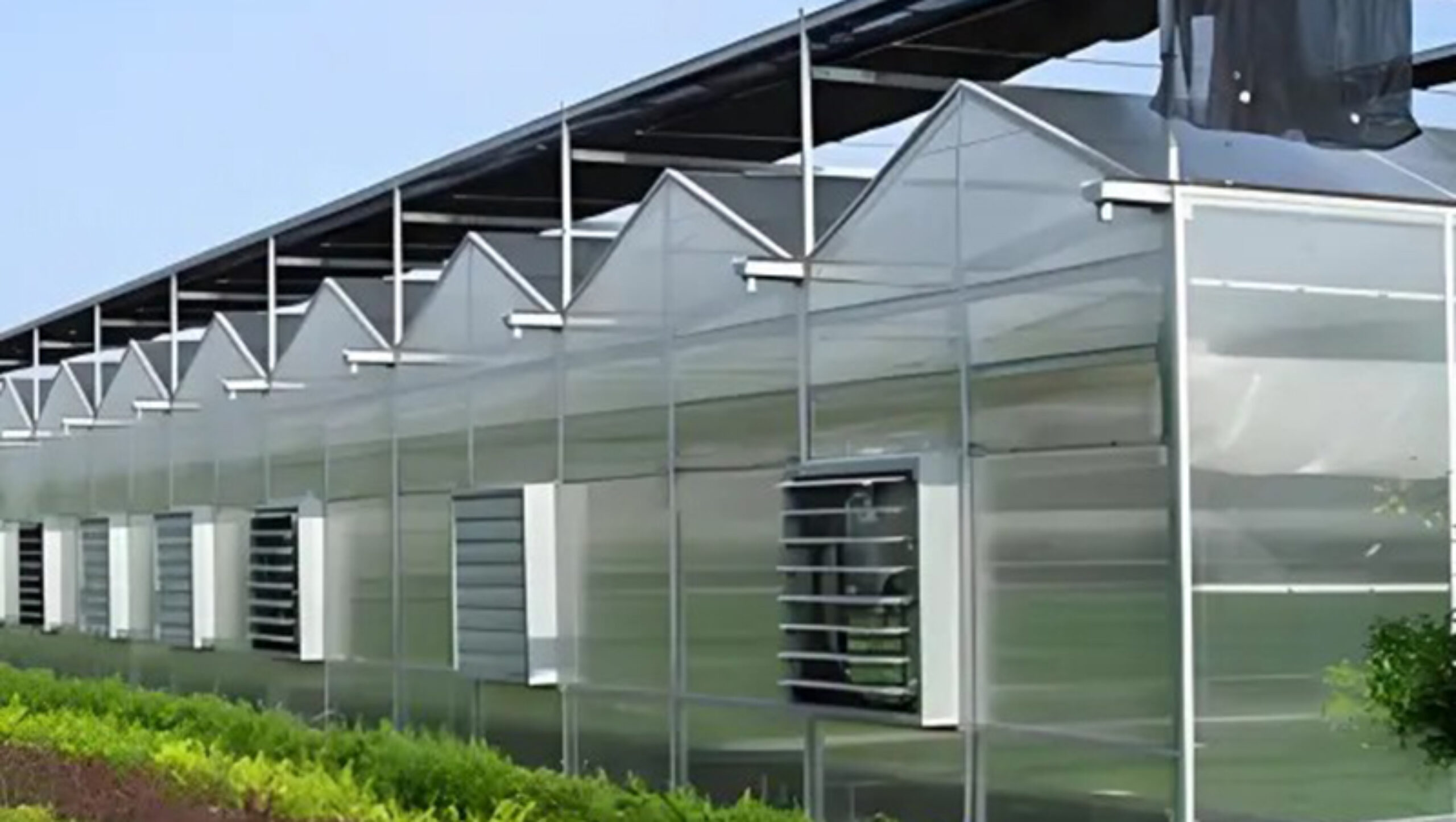 Polycarbonate greenhouse for agricultural product cultivation
