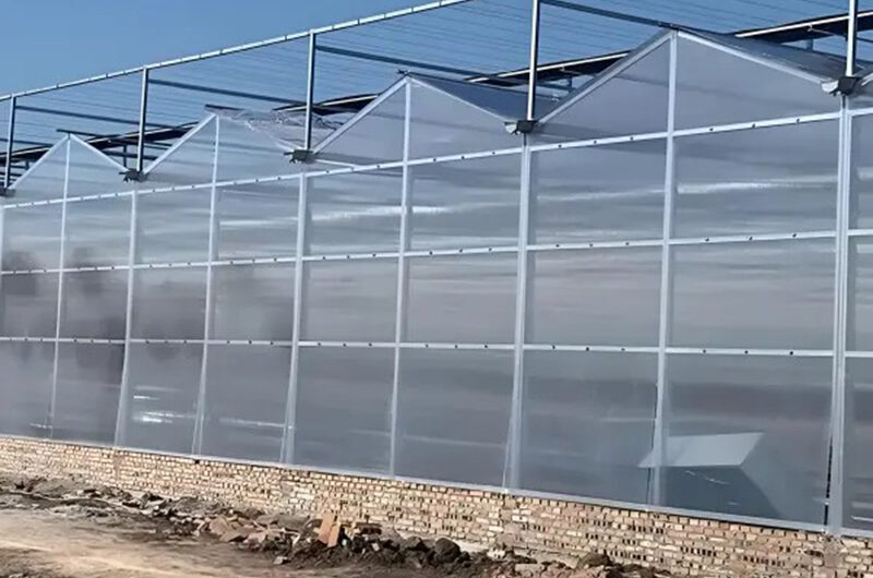 Polycarbonate greenhouse for agricultural product cultivation