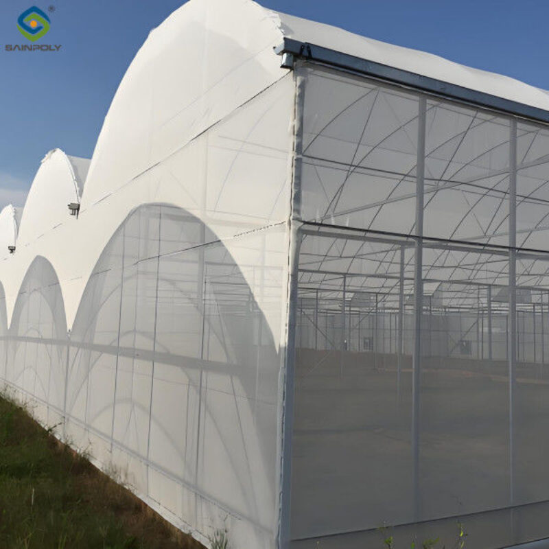 Polycarbonate Mushroom Growing Greenhouse Multispan Farming Green House Cultivation
