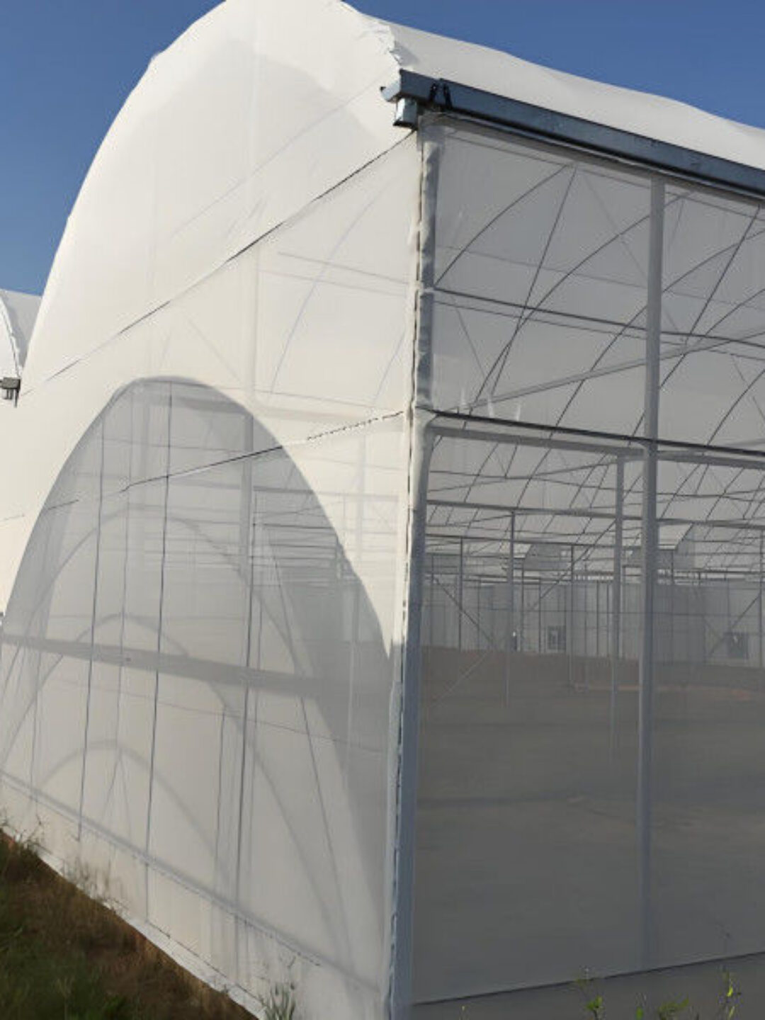 Polycarbonate Mushroom Growing Greenhouse Multispan Farming Green House Cultivation