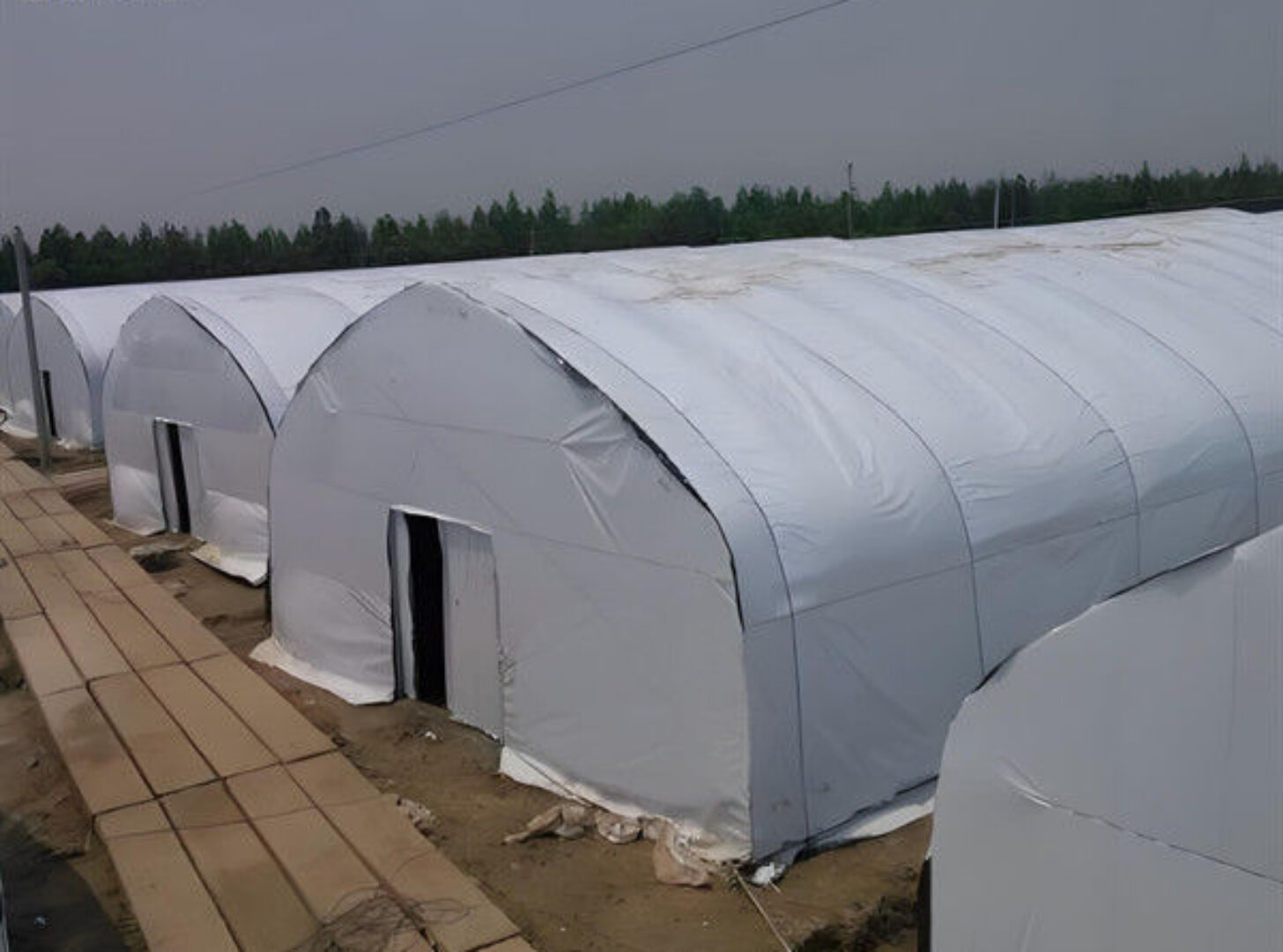 Polycarbonate Mushroom Growing Greenhouse Multispan Farming Green House Cultivation