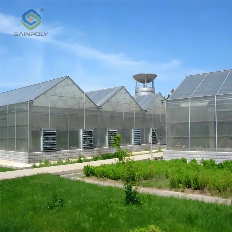 Polycarbonate (PC) Sheet Greenhouses for Commercial Cultivation