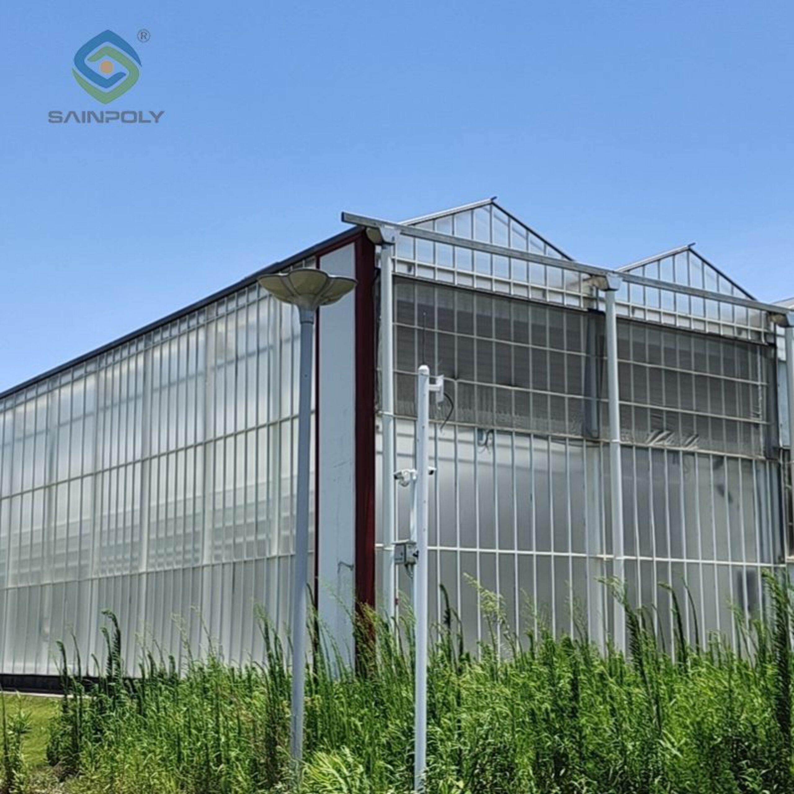 Polycarbonate (PC) Sheet Greenhouses for Commercial Cultivation