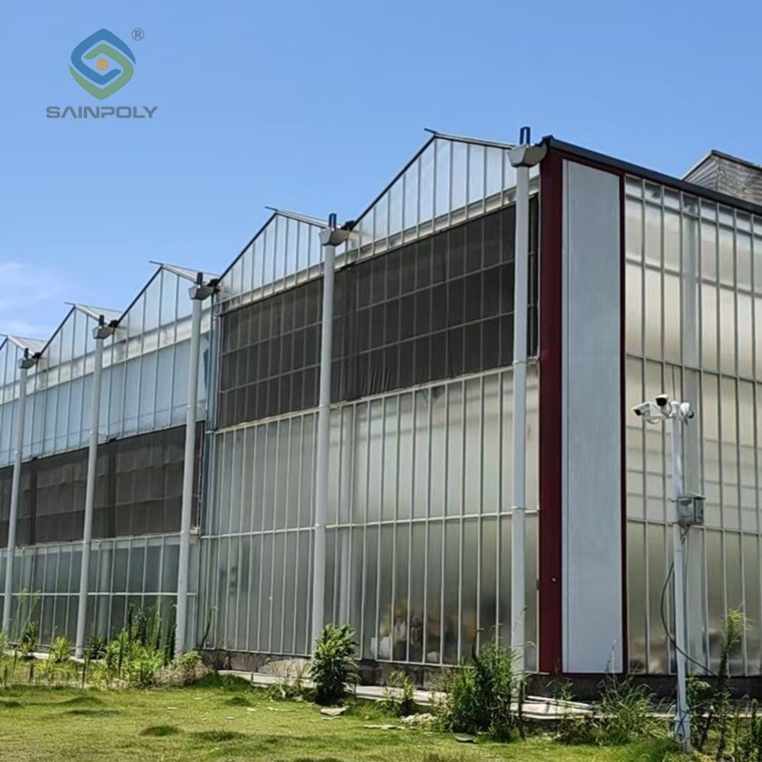 Polycarbonate (PC) Sheet Greenhouses for Commercial Cultivation