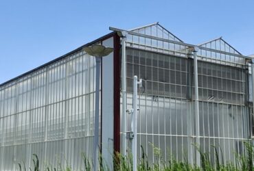 Polycarbonate (PC) Sheet Greenhouses for Commercial Cultivation