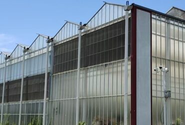 Polycarbonate (PC) Sheet Greenhouses for Commercial Cultivation