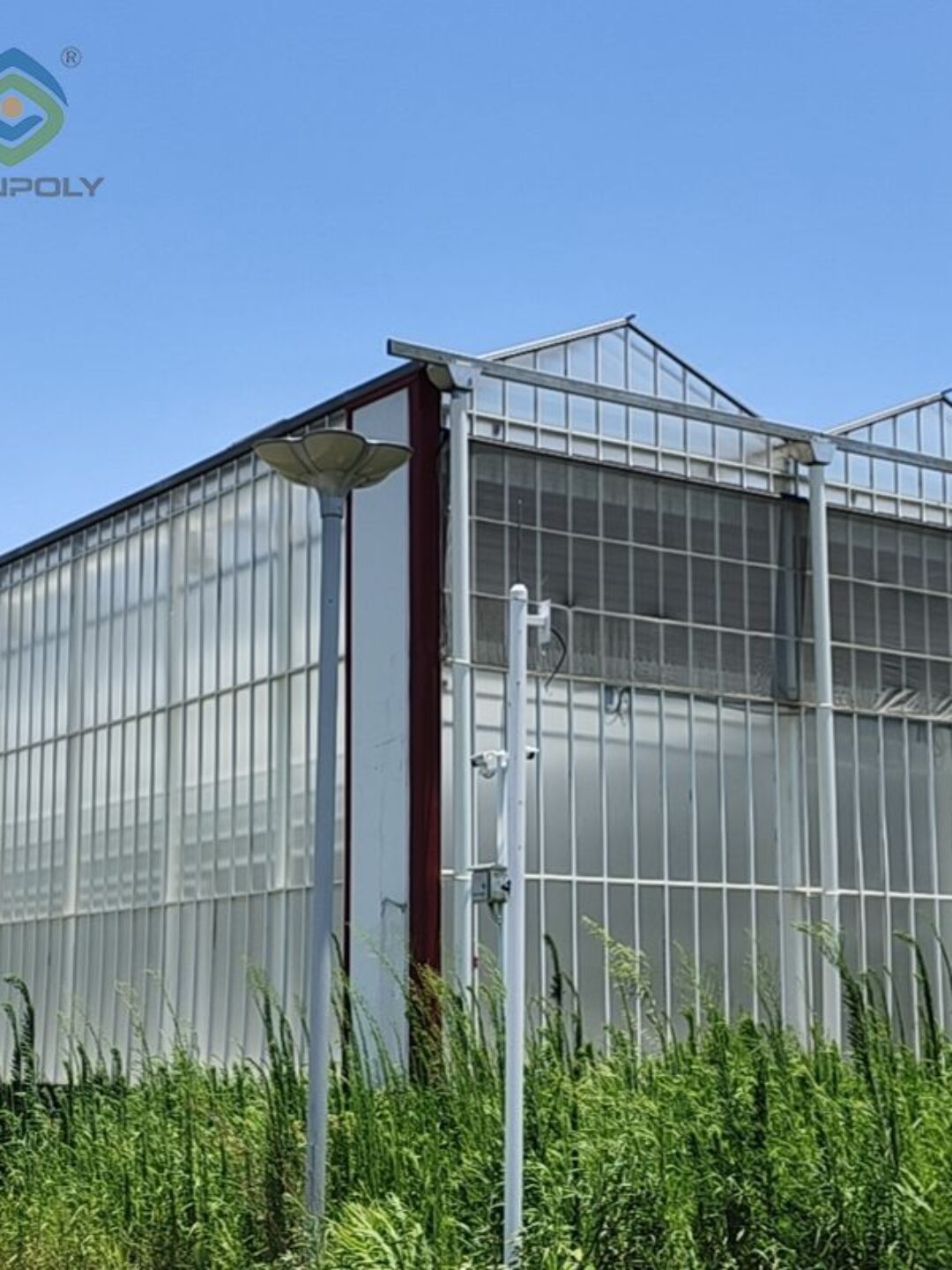 Polycarbonate (PC) Sheet Greenhouses for Commercial Cultivation