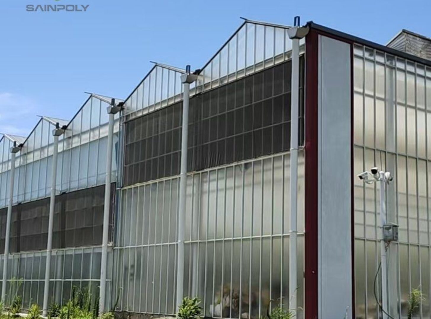 Polycarbonate (PC) Sheet Greenhouses for Commercial Cultivation