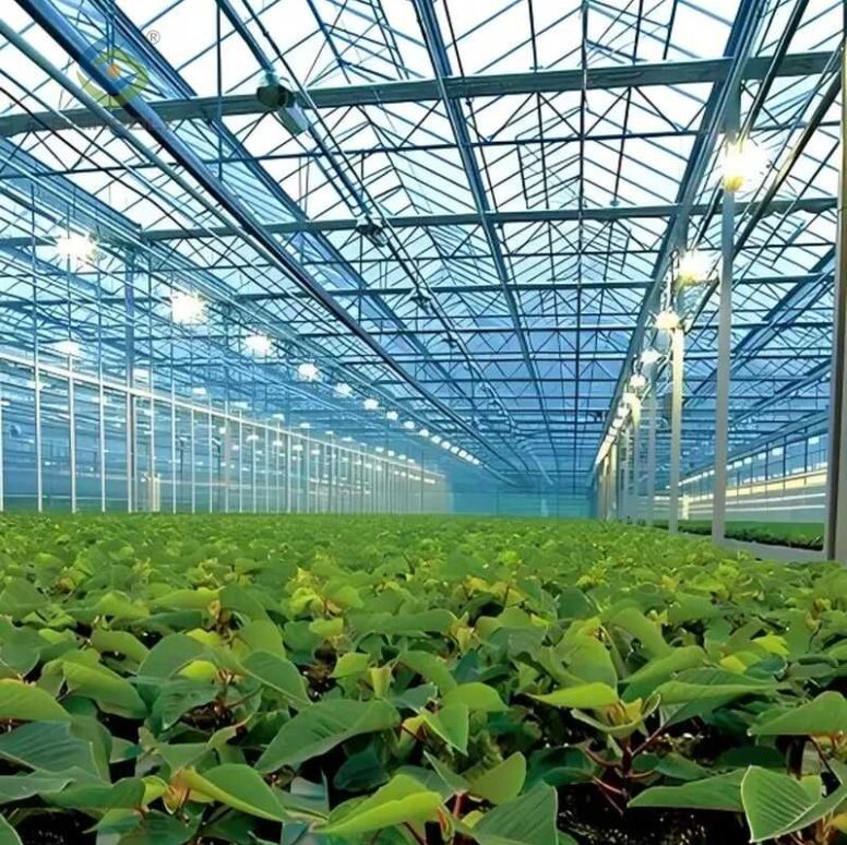Polycarbonate (PC) Sheet Greenhouses for Commercial Cultivation
