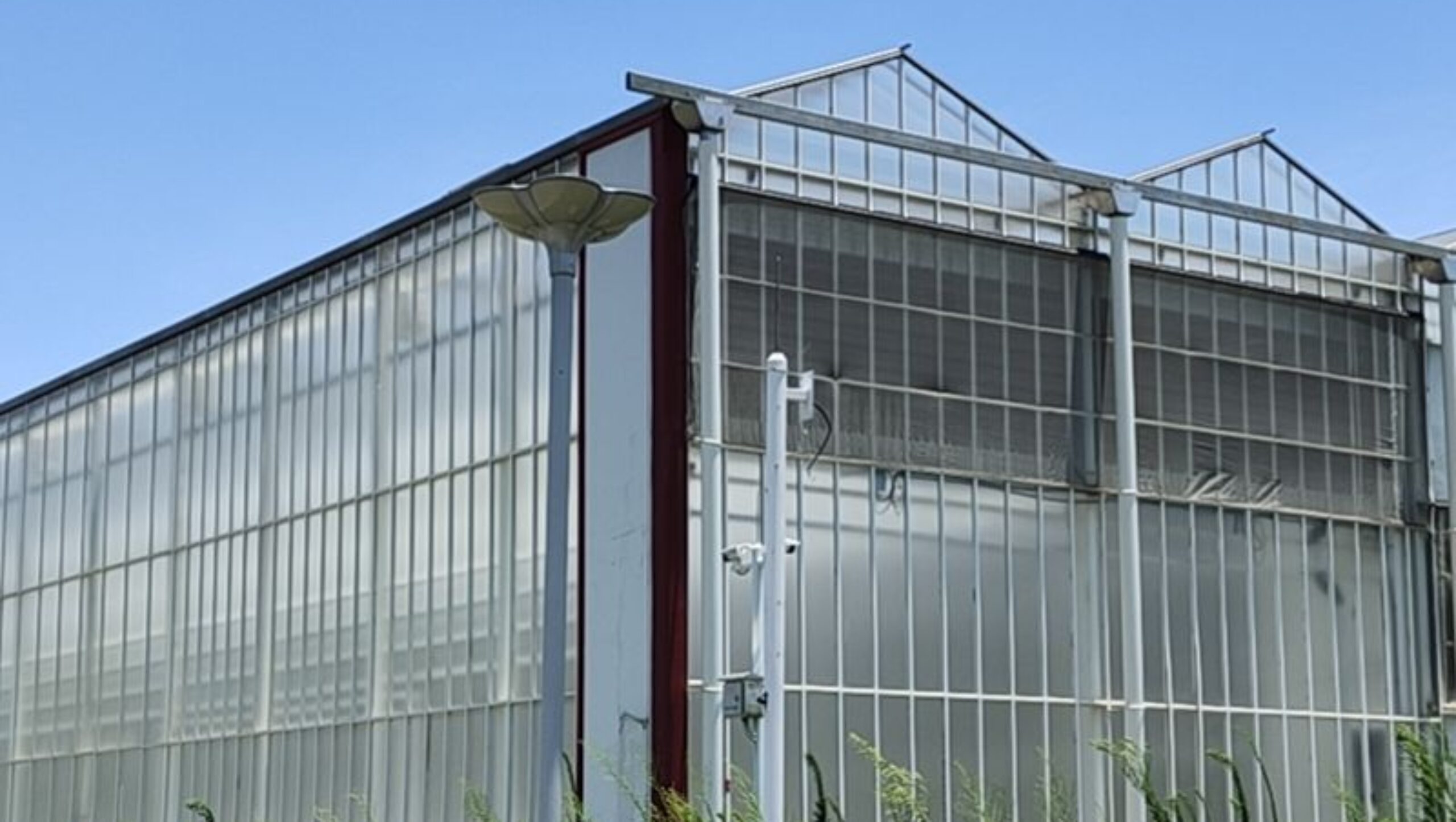 Polycarbonate (PC) Sheet Greenhouses for Commercial Cultivation
