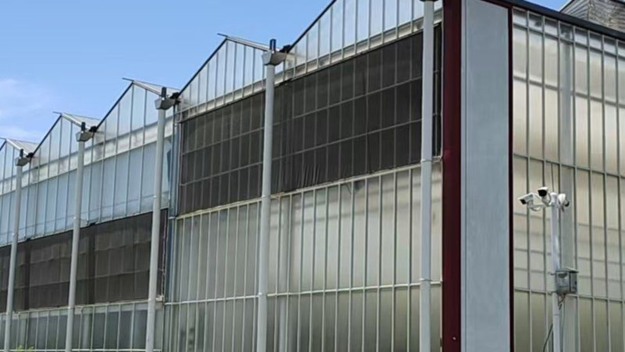 Polycarbonate (PC) Sheet Greenhouses for Commercial Cultivation