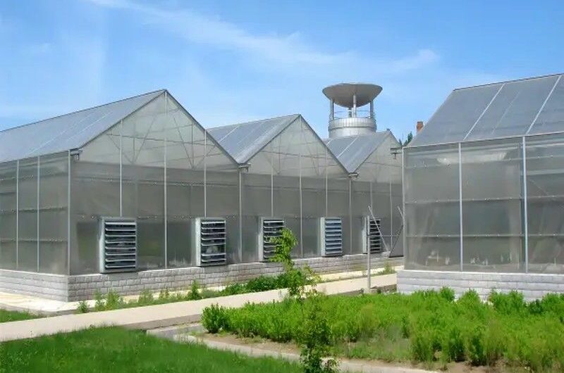 Polycarbonate (PC) Sheet Greenhouses for Commercial Cultivation