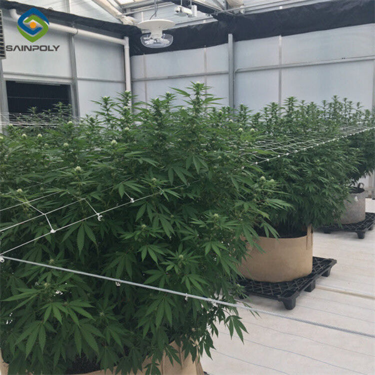 Popular Modern Blackout System Greenhouse Full Dark With Systems