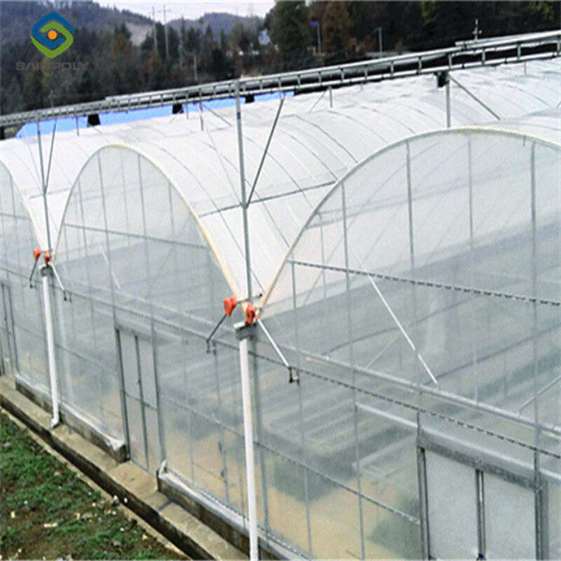 Practical Large Industrial Sized Greenhouse 30-100m Length Stable Structure