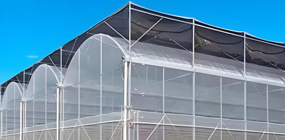 Practical Large Industrial Sized Greenhouse 30-100m Length Stable Structure