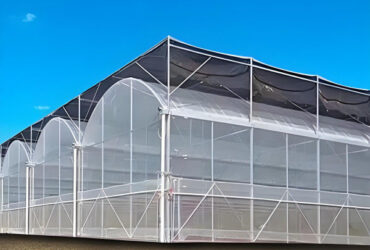 Practical Large Industrial Sized Greenhouse 30-100m Length Stable Structure