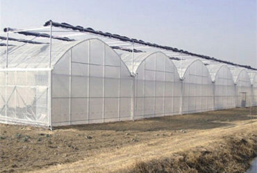 Practical Large Industrial Sized Greenhouse 30-100m Length Stable Structure