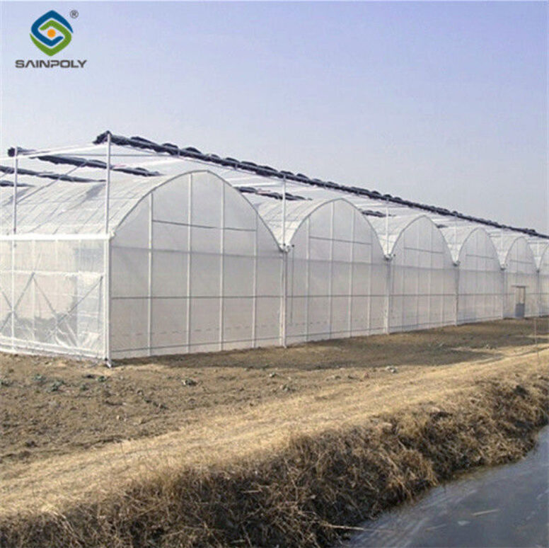 Practical Large Industrial Sized Greenhouse 30-100m Length Stable Structure