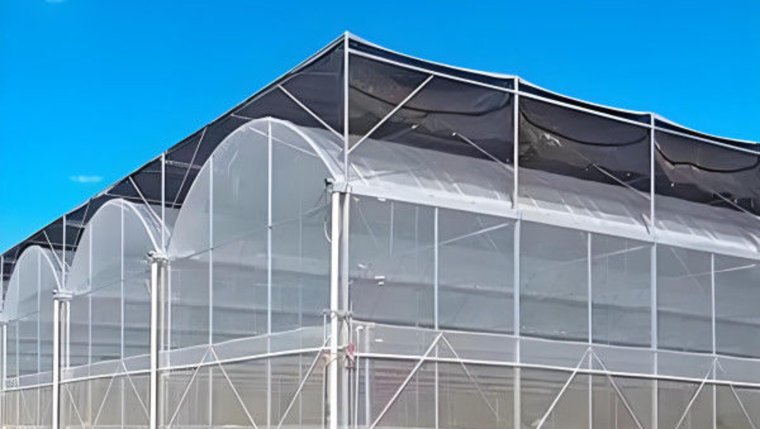 Practical Large Industrial Sized Greenhouse 30-100m Length Stable Structure