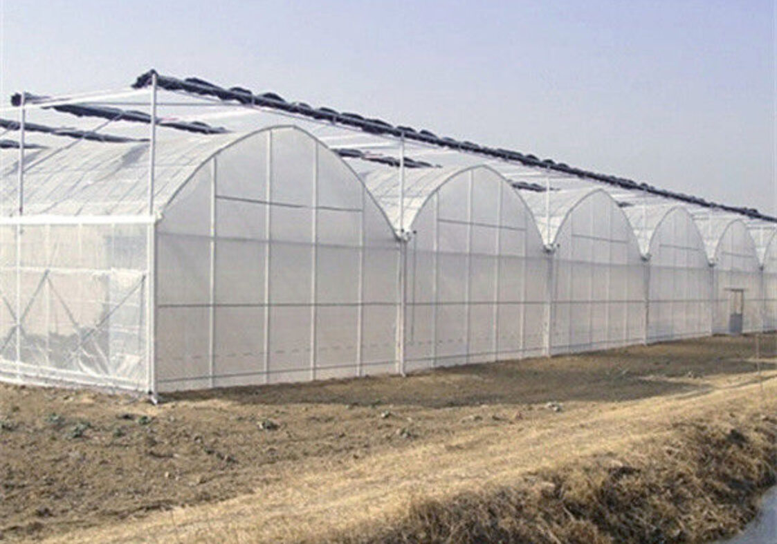 Practical Large Industrial Sized Greenhouse 30-100m Length Stable Structure